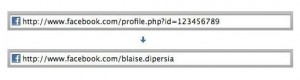 urls-amigables-para-tu-perfil-de-facebook