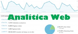 Fases Analitica Web